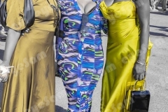 049A9517-2