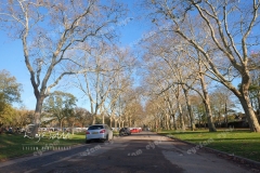 P1309450