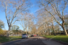 P1309451