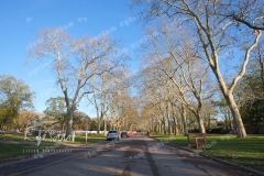 P1309454
