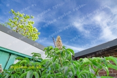 049A9968