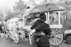 P1033052-2