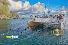 P1472947