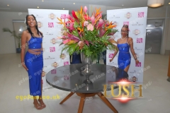 aiease_1749136565897