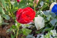 P1404404